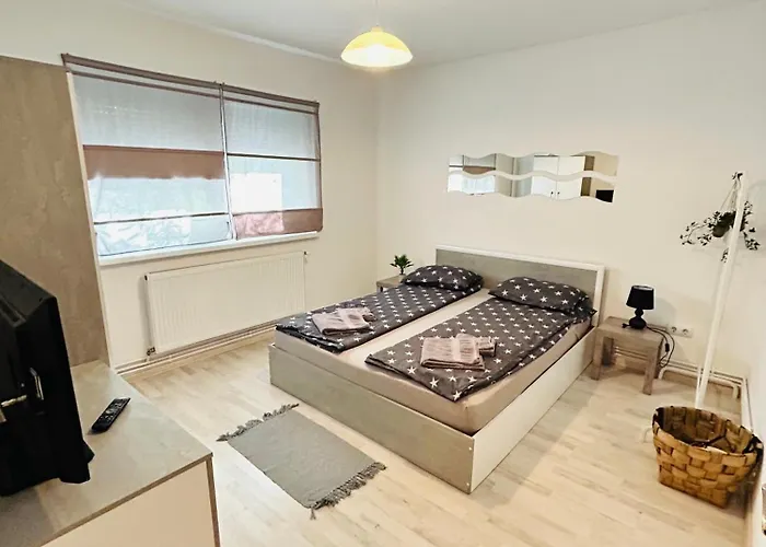 Alisz Appartement Timişoara